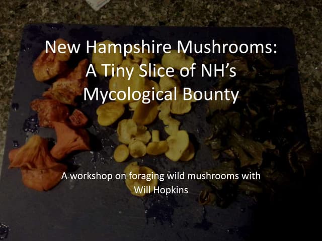 Twelve nh mushrooms