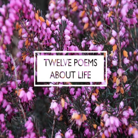 Twelve poems about life