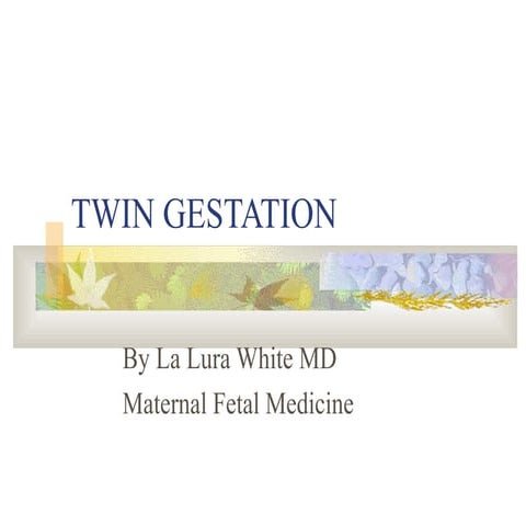 Twins | PPT