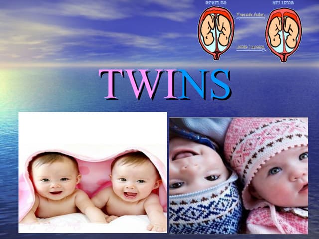 Twins | PPT