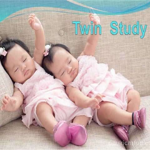 Twin  study