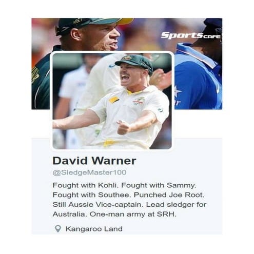 10 Honest twitter bios of Cricketers! | PDF