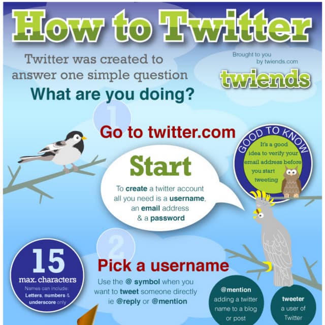 Twitter Marketing Infographic