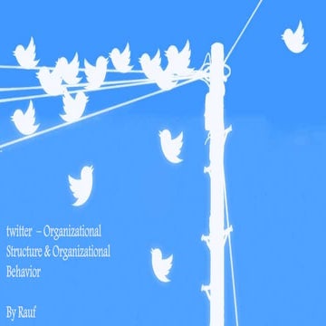 Twitter Organizational Structure and Behavior Culture