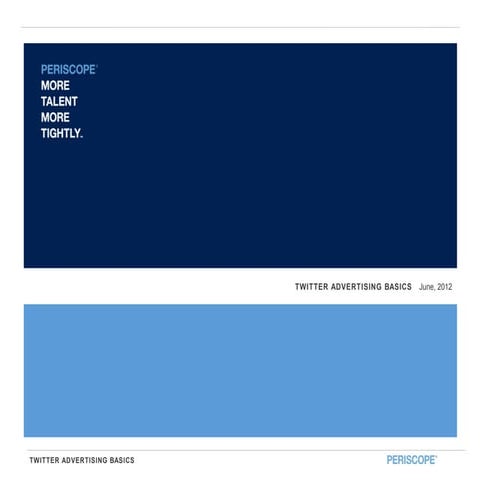 Twitter Ads: The Basics