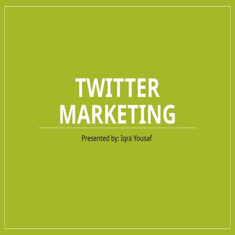 11111twitter Marketing Presentation Pptx