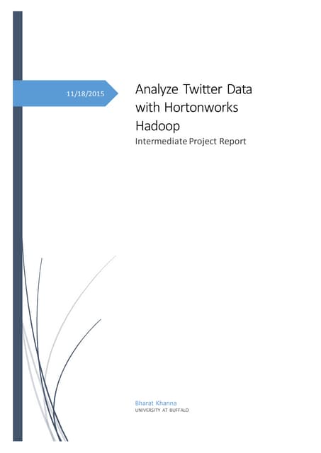Twitter sentiment analysis project report