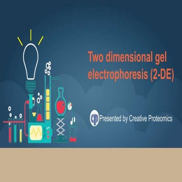 Two dimensional gel electrophoresis (2-DE)