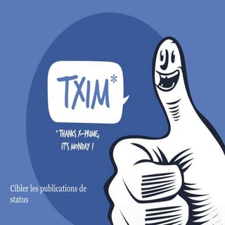 TXIM : ciblage des contenus des pages