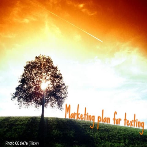 Texting marketing plan