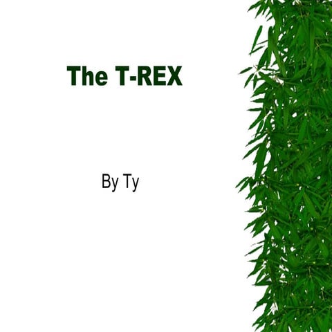 Ty | PPT