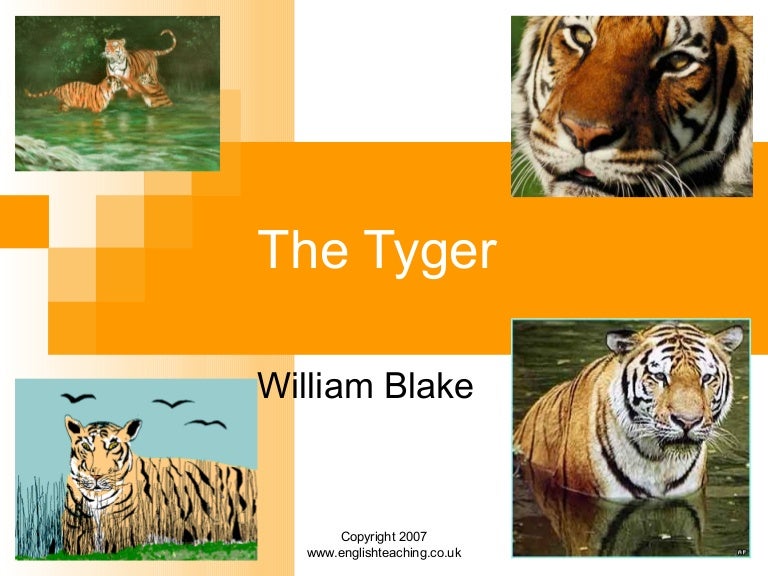 Tyger By William Blake
