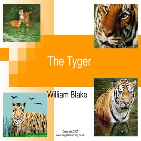 Tyger By William Blake