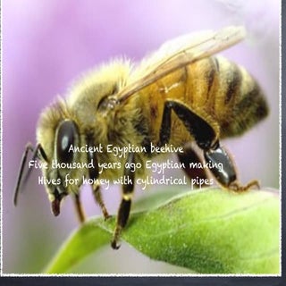 Tyler's work assassin .key