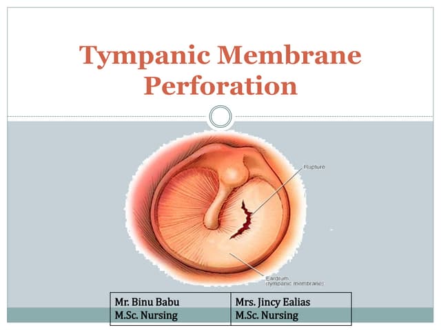 Anatomy and physiology of ENT | PPTX