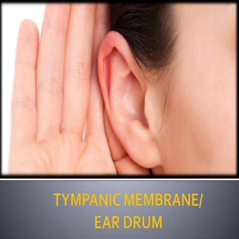 Tympanic Membrane ppt.pptx