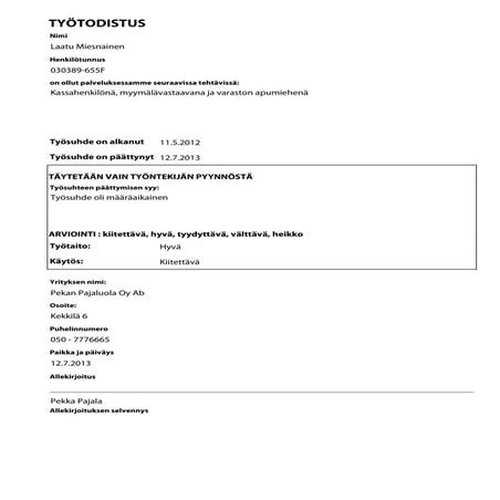 ty-todistus-esimerkki-pdf