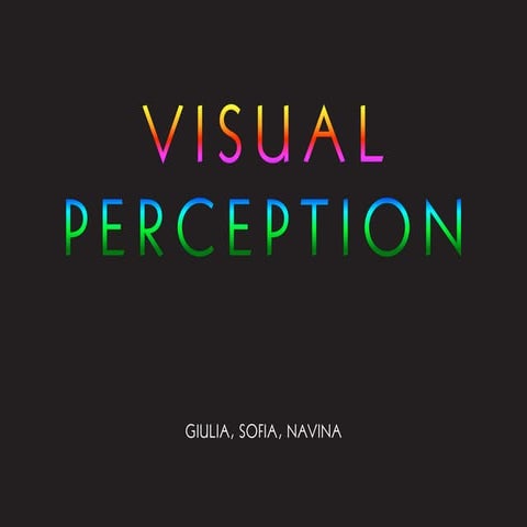 VISUAL PERCEPTION