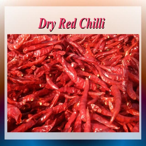 Type of Dry Red Chilli and Its Uses