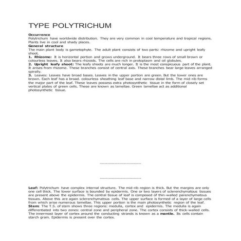 Type polytrichum