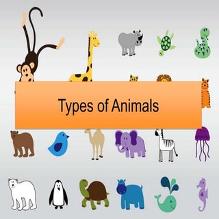 Types of Animals