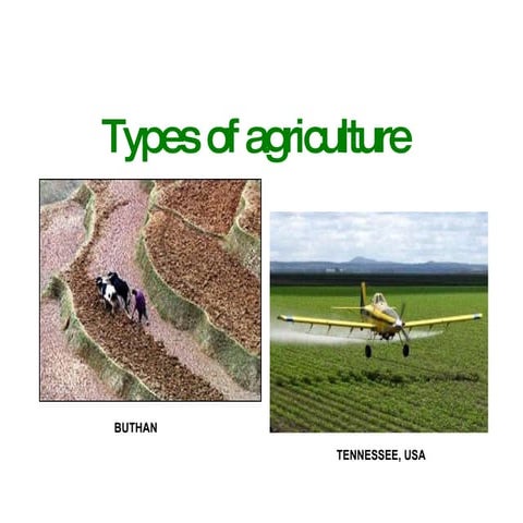 Types of Agriculture