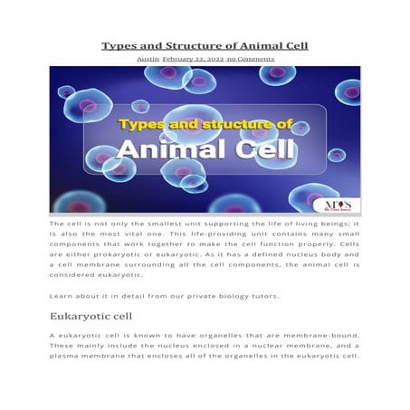 Types and Structure of Animal Cell.pdf