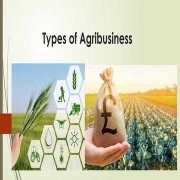 Types of Agribusiness in the Philippines.pptx