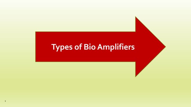 Types of bio amplifiers 