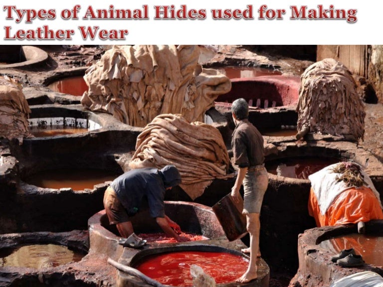 Types of animal hides used for making leather wear