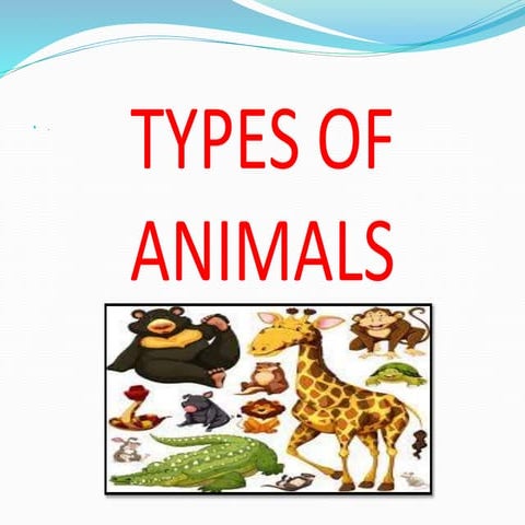 Typesofanimalppt 