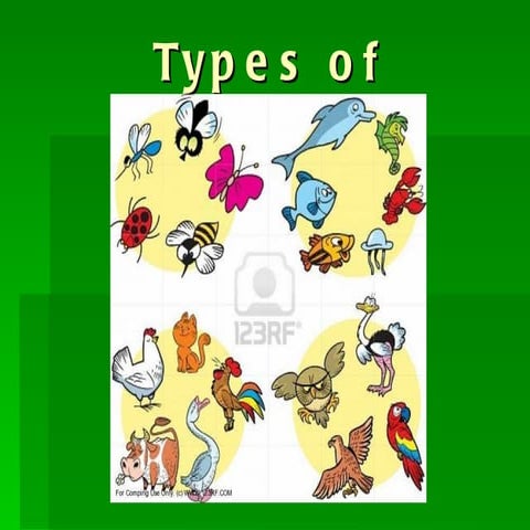 Typesofanimals 100430110153-phpapp02[1]
