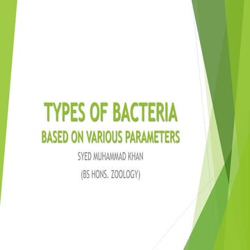 Types of Bacteria