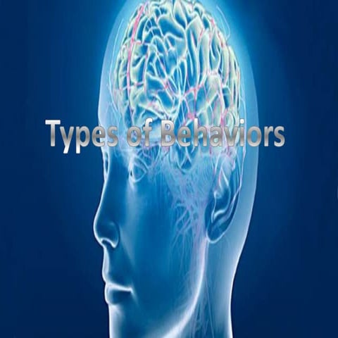 Different Types of Behaviors