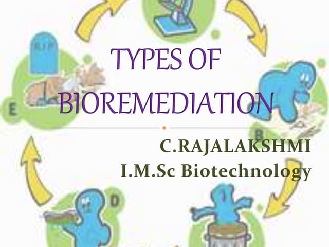 Types of bioremediation