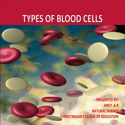 Types of blood cells