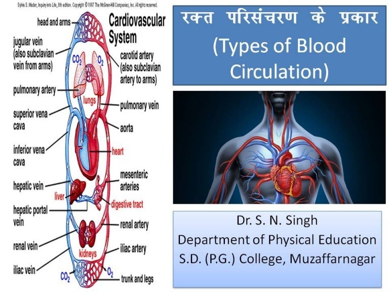 Types of blood circulation by Dr. S. N. Singh