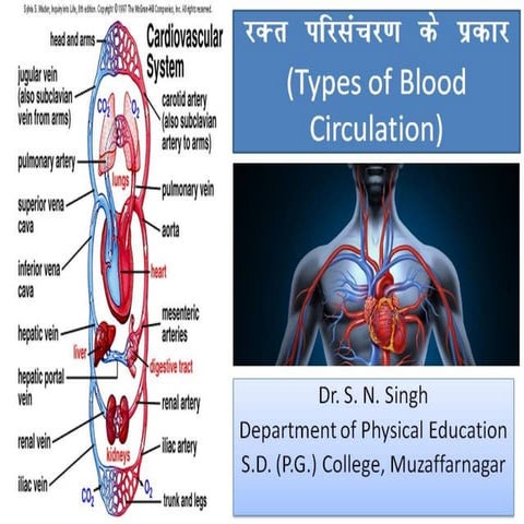 Types of blood circulation by Dr. S. N. Singh | PPT | Blood Disorders ...