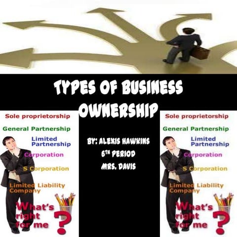 Types of business ownership alexis