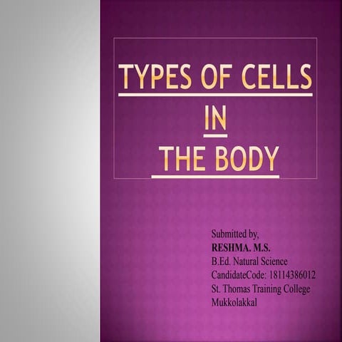 Types of cells in the body class 8