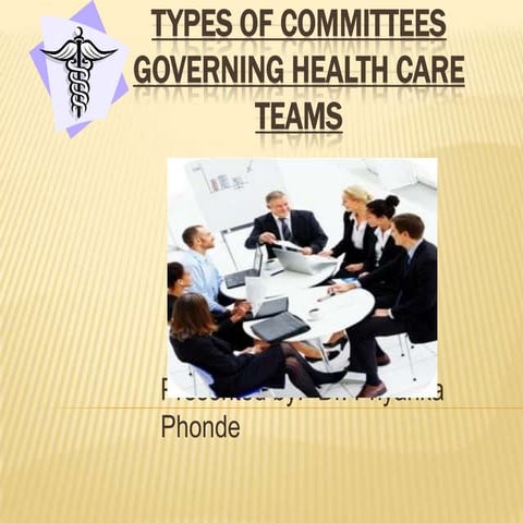 Types of committees governing health care teams