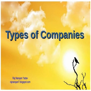 Types of companies.pptx