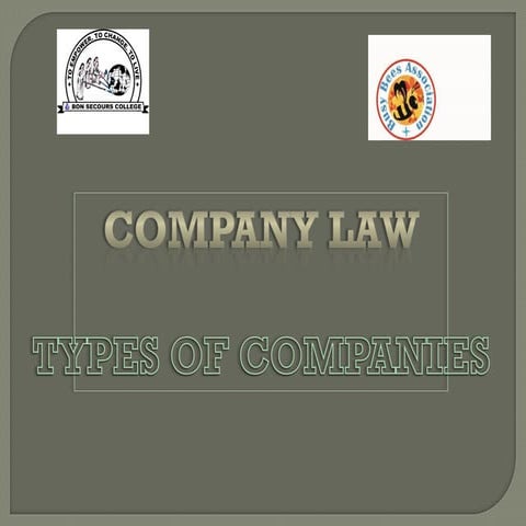 Types of companies in company law