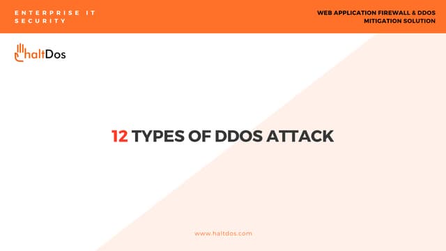 12 types of DDoS attacks