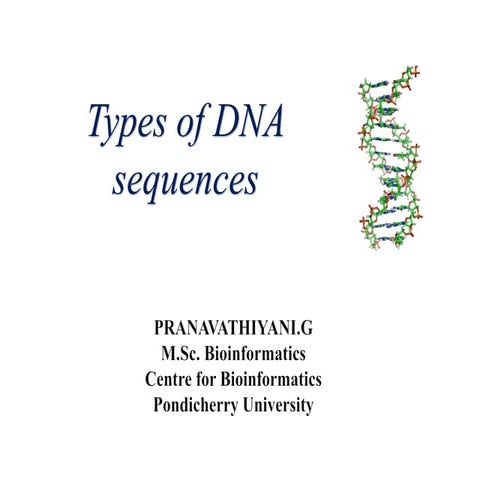 Types of DNA sequences