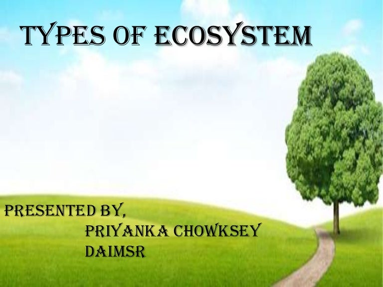 Types of ecosystem
