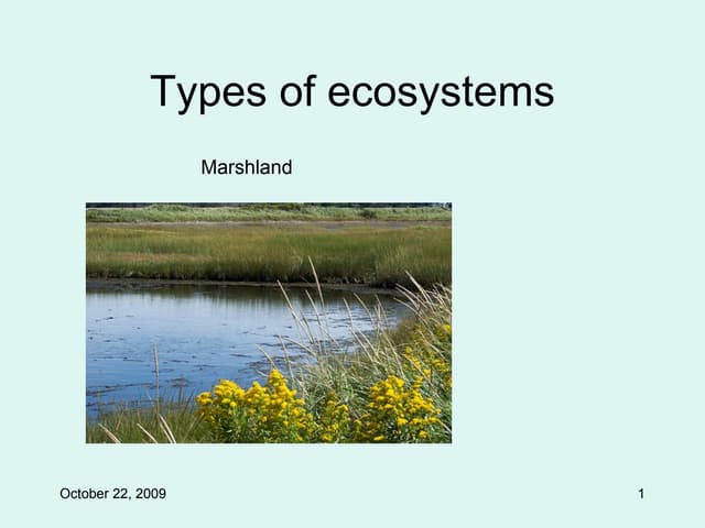 Types Of Ecosystems
