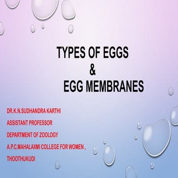Types of eggs and Egg membranes (Developmental Zoology)