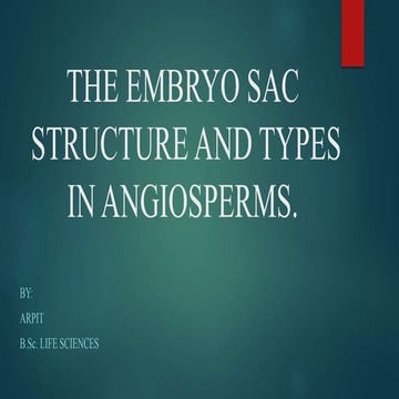 Types of embryo sac in plants.