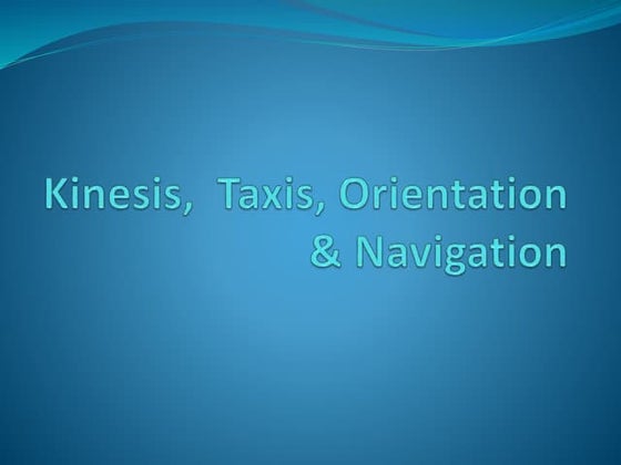 Shivkar Talpade: The untold story of the man who flew India's first ...